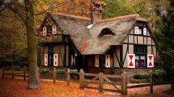 ��� � ���� ����